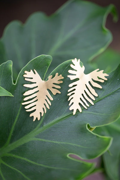 Split Leaf Philodendron Post Earrings